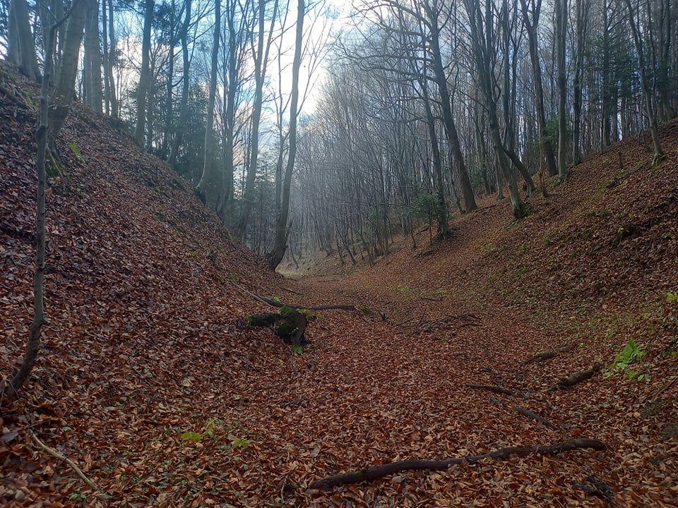 dom wolnostojący Wesoła. Zdjęcie 8