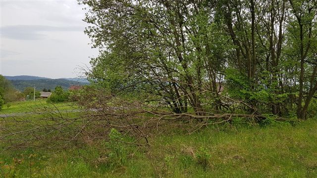 Działka budowlana Połom Duży. Zdjęcie 1