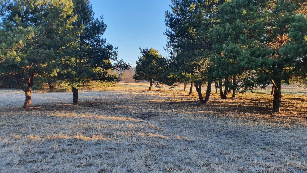 Działka budowlana Skarbka Bidzińszczyzna. Zdjęcie 7