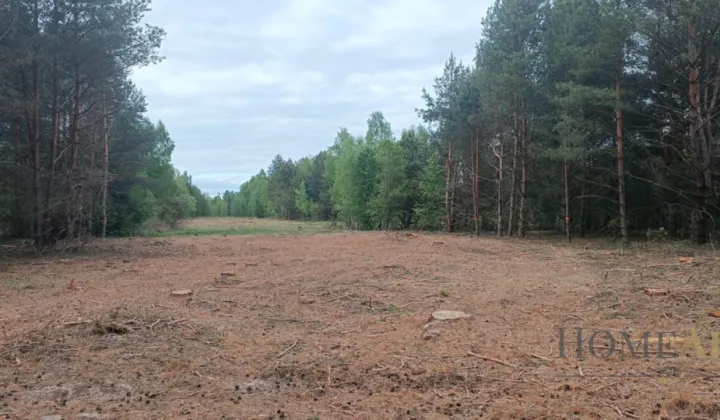 Działka rolna Teofile