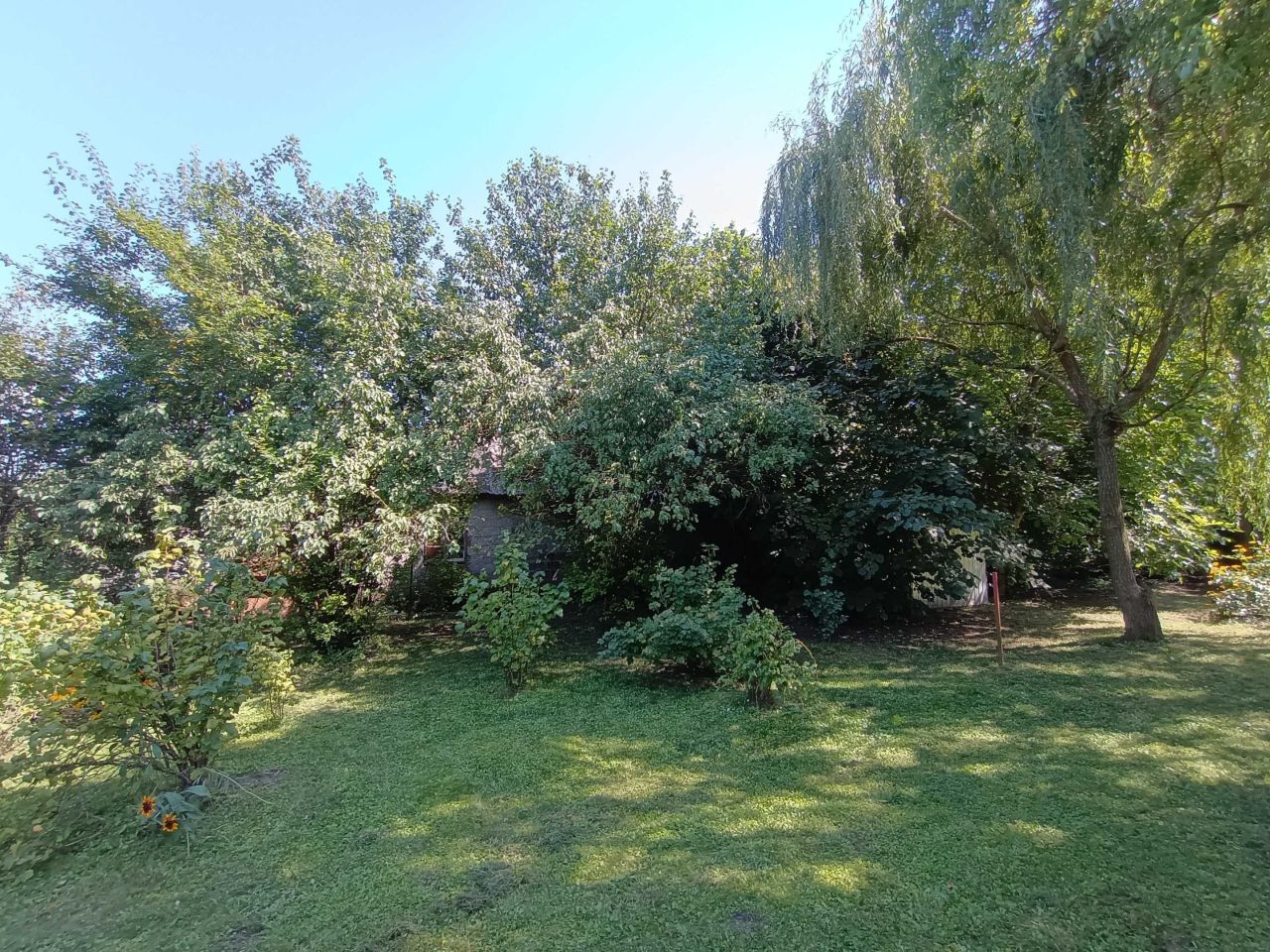 Działka rolno-budowlana Horodło, ul. Królowej Jadwigi. Zdjęcie 6