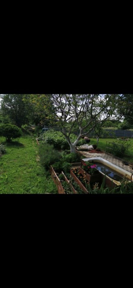 Działka rekreacyjna Czerwieńsk. Zdjęcie 5