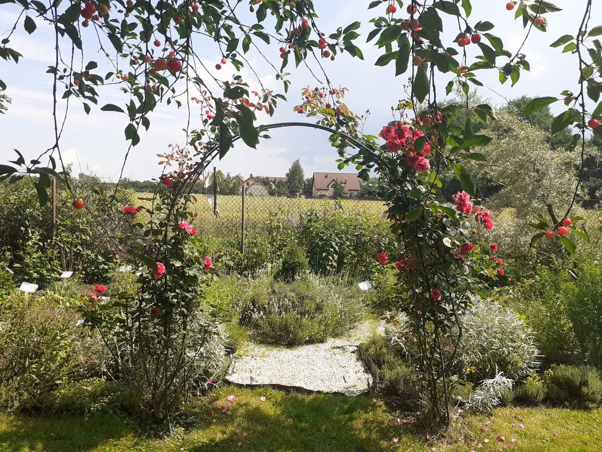 Działka budowlana Węgrzce Wielkie. Zdjęcie 6