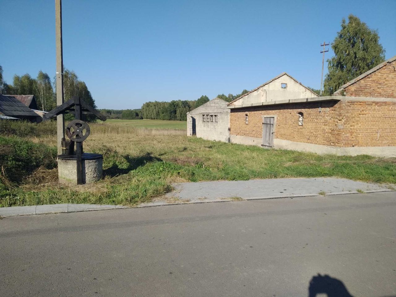 siedlisko Romanów. Zdjęcie 3