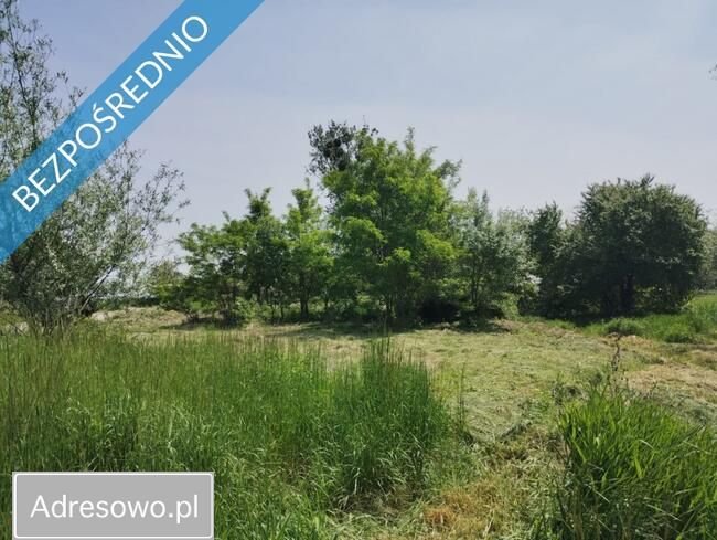 Działka budowlana Orzech, ul. Ogrodowa. Zdjęcie 2