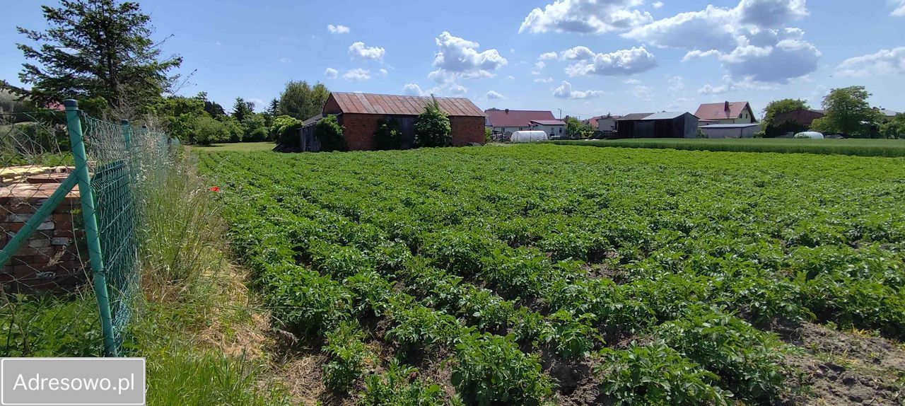 siedlisko, 4 pokoje Gola Górowska. Zdjęcie 5