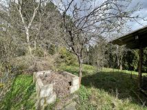 Działka rod Wrocław Krzyki, ul. Rudolfa Weigla. Zdjęcie 4