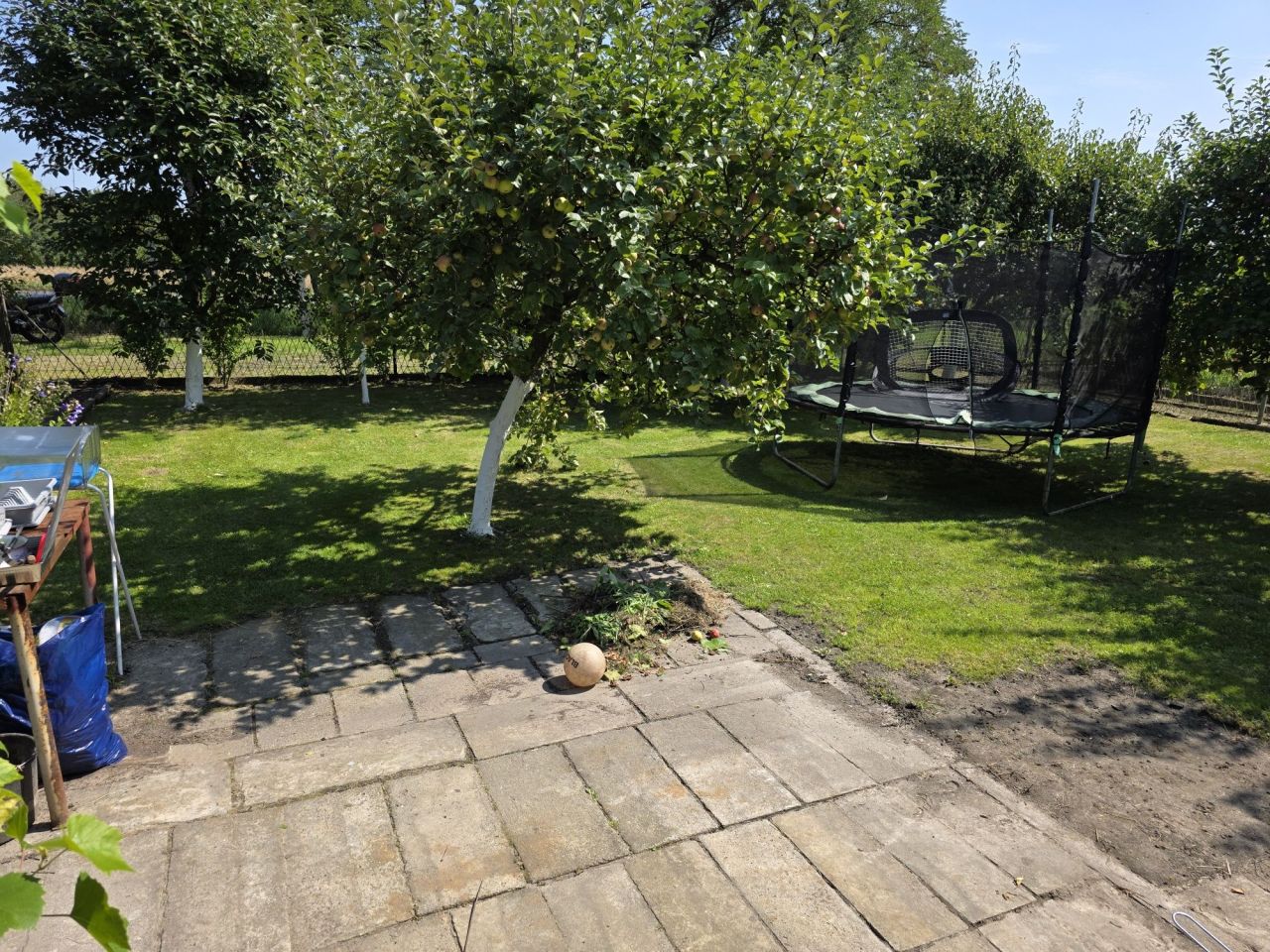 Działka rod Zabrze Grzybowice. Zdjęcie 7