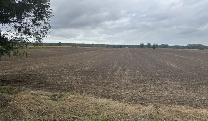 Działka rolna Cychry, ul. Ogrodowa
