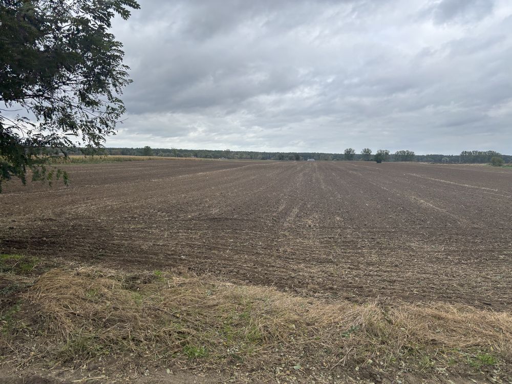 Działka rolna Cychry, ul. Ogrodowa. Zdjęcie 1