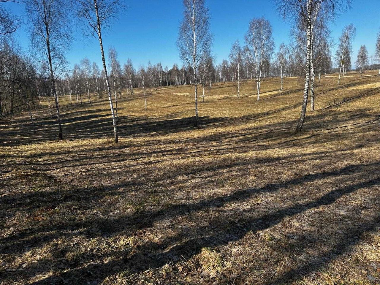 Działka rekreacyjna Rogowo. Zdjęcie 7