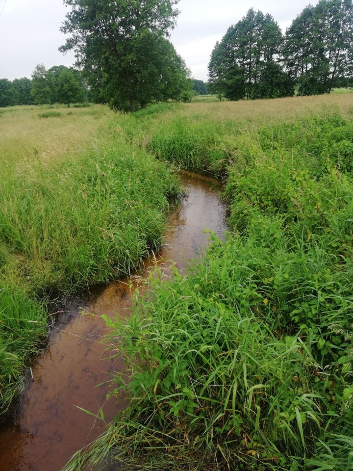 Działka budowlana Brok, ul. Głęboka. Zdjęcie 4