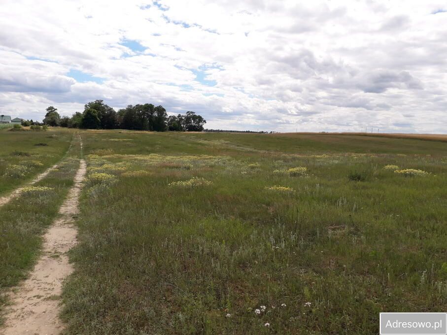Działka budowlana Żakowo. Zdjęcie 3