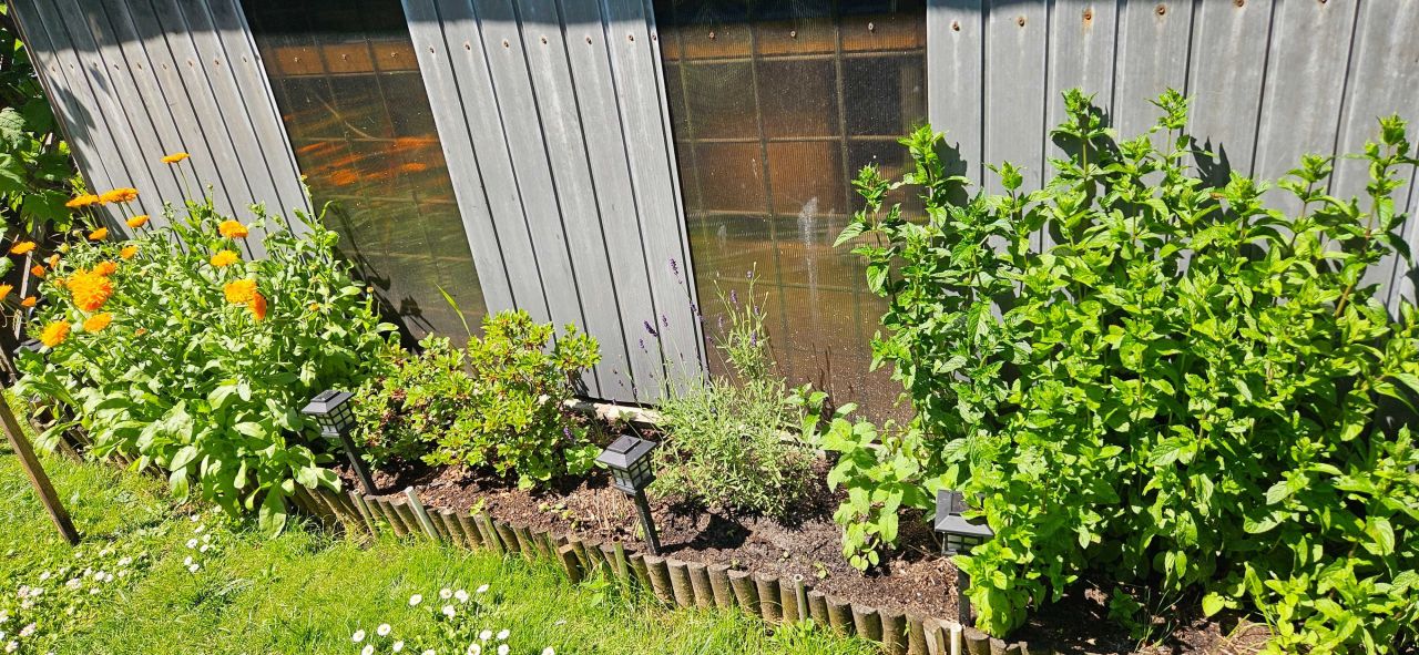 Działka rod Białystok Dojlidy. Zdjęcie 4