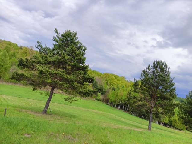 Działka budowlana Grabownica Starzeńska. Zdjęcie 1