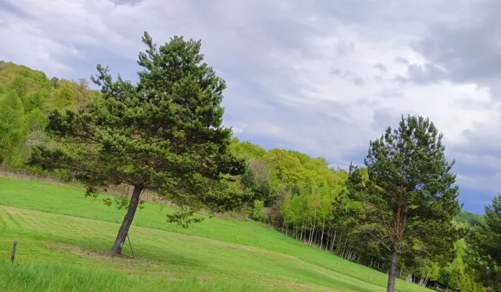 Działka budowlana Grabownica Starzeńska