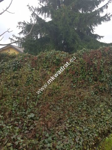 Działka budowlana Piastów, ul. Elizy Orzeszkowej. Zdjęcie 4