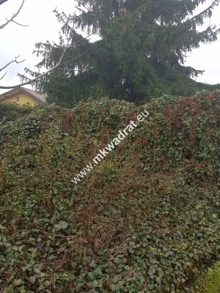 Działka budowlana Piastów, ul. Elizy Orzeszkowej. Zdjęcie 4