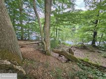 Działka Cybulin. Zdjęcie 2