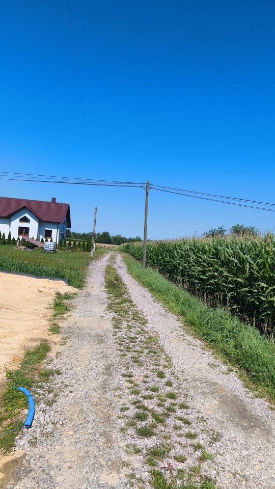 Działka rolna Wola Dalsza. Zdjęcie 3