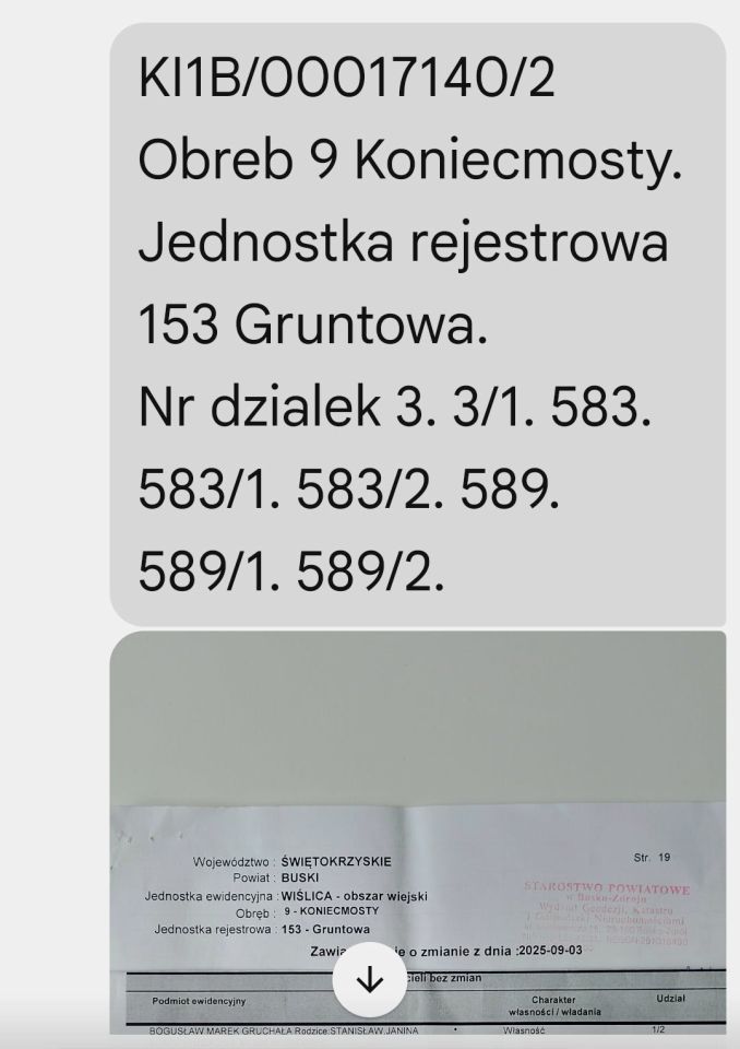 Działka inna Koniecmosty, Stawiszyce. Zdjęcie 2
