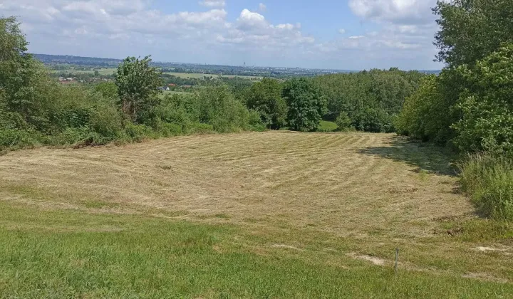 Działka rolno-budowlana Siedliska