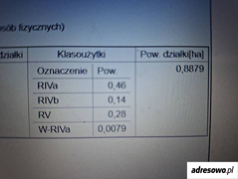 Działka rolna Grabówie. Zdjęcie 6