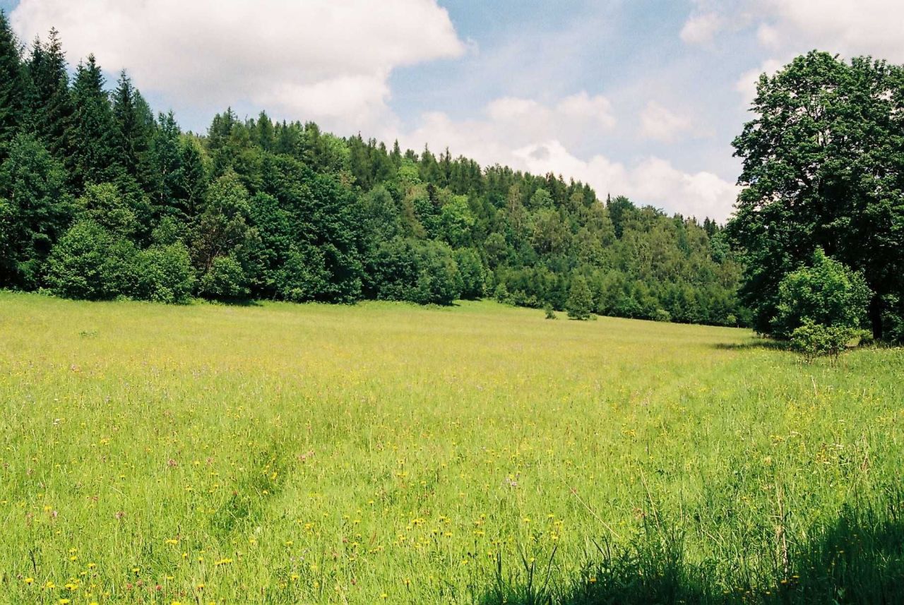 Działka Stara Morawa. Zdjęcie 4