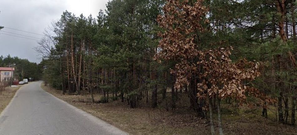 Działka leśna Rudnik nad Sanem, ul. Kończycka. Zdjęcie 5