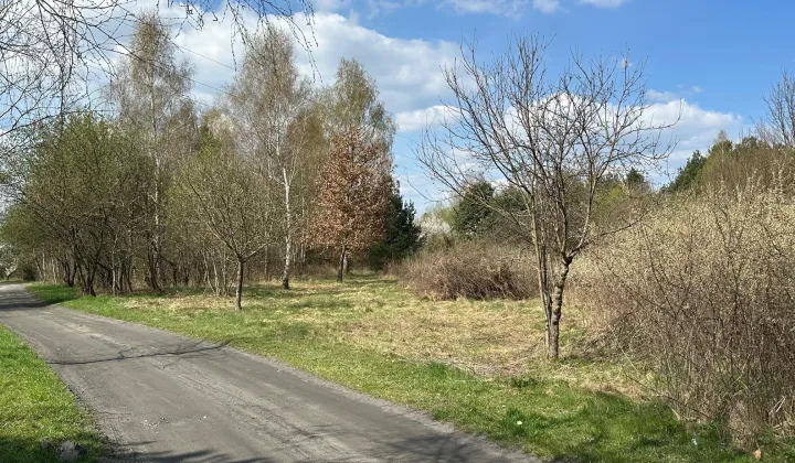 Działka rolno-budowlana Wąchock, ul. Tychowska