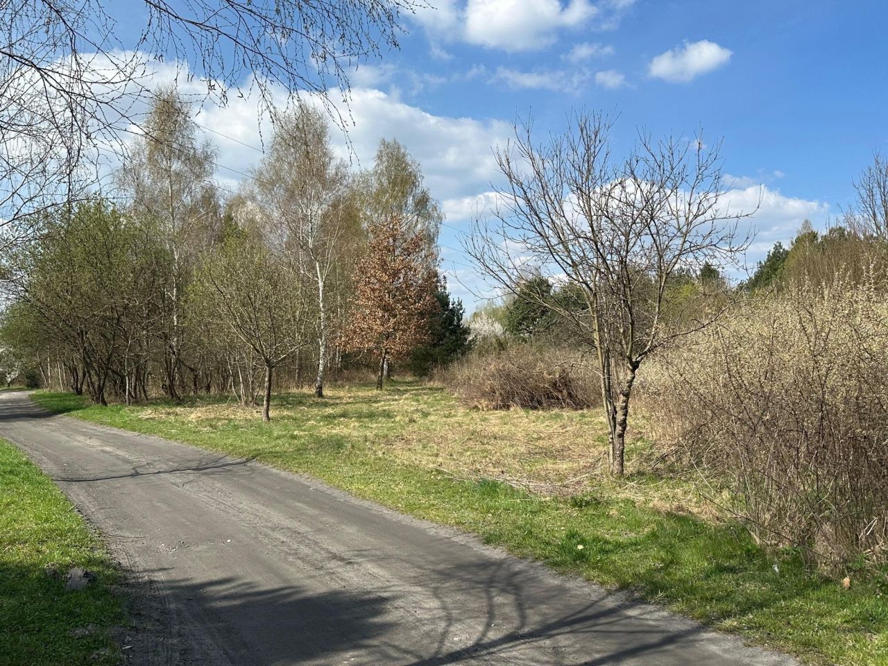 Działka rolno-budowlana Wąchock, ul. Tychowska. Zdjęcie 1