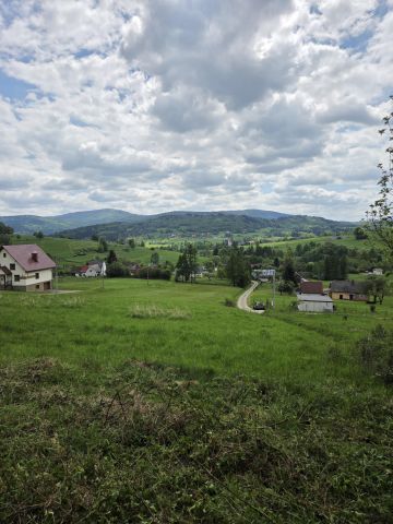 Działka rolna Kurów Jopkówka. Zdjęcie 1