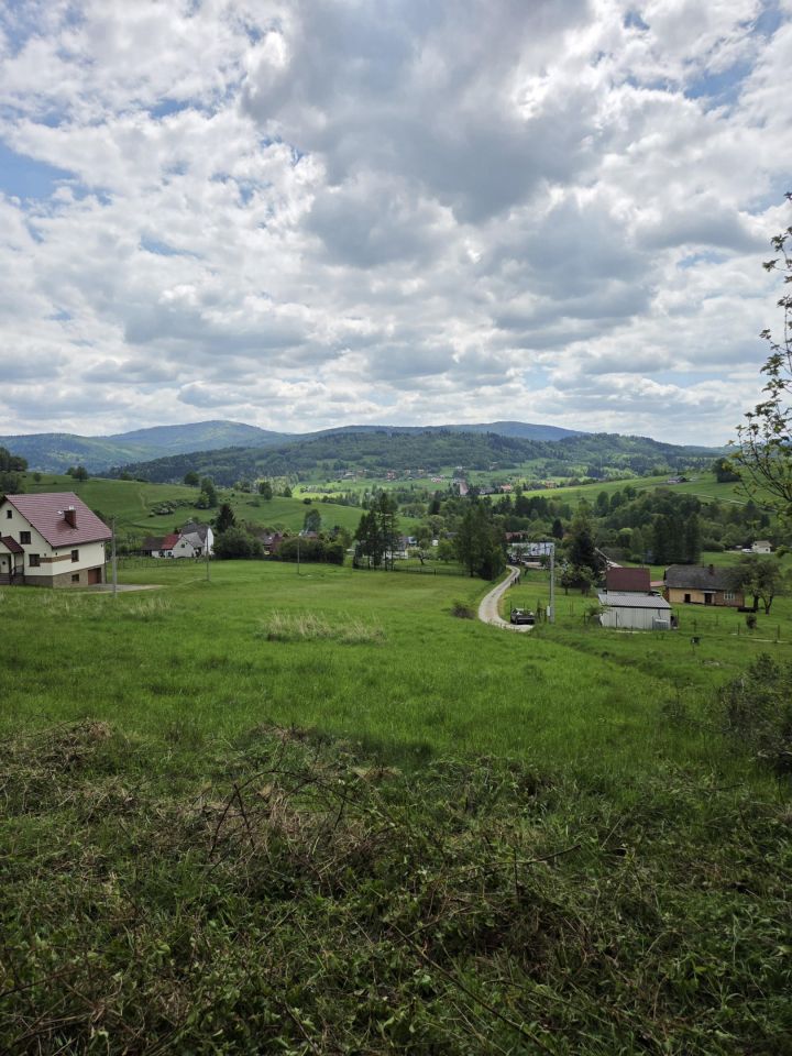 Działka rolna Kurów Jopkówka. Zdjęcie 1