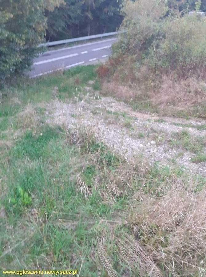 Działka budowlana Bartkowa-Posadowa. Zdjęcie 5