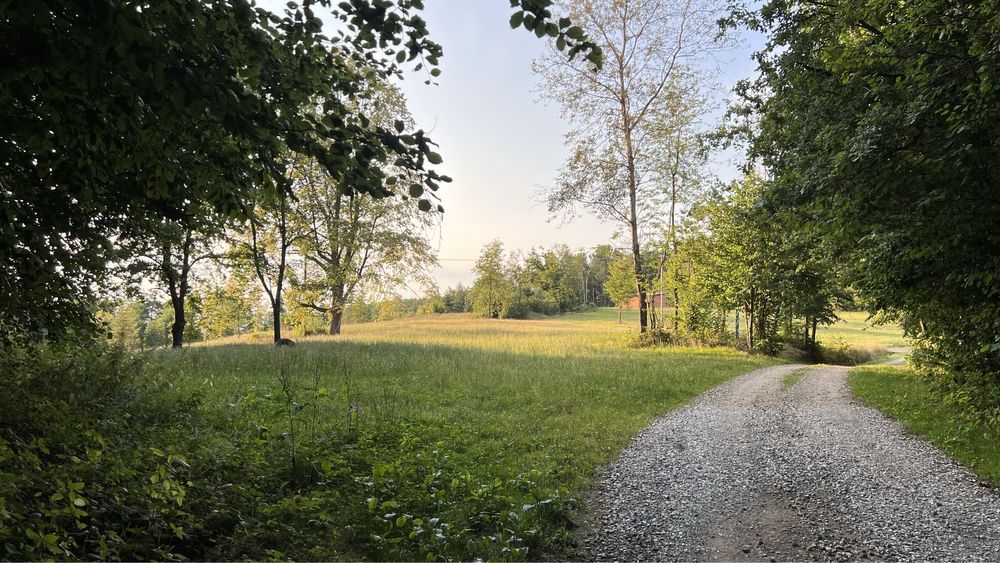 Działka rekreacyjna Piaski-Drużków. Zdjęcie 2