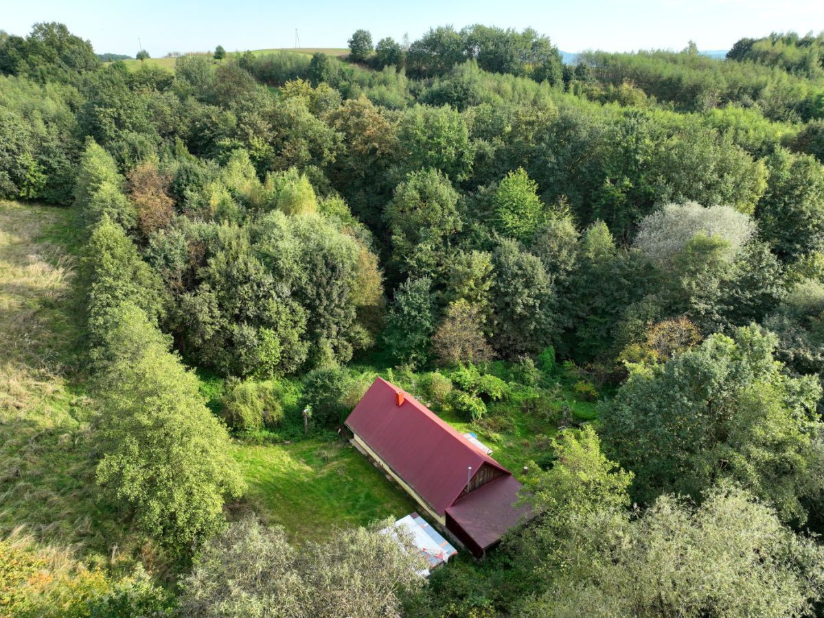 siedlisko, 2 pokoje Złota Przymiarki. Zdjęcie 20