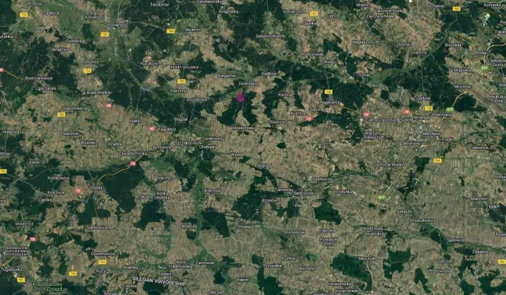 Działka leśna Mękarzów