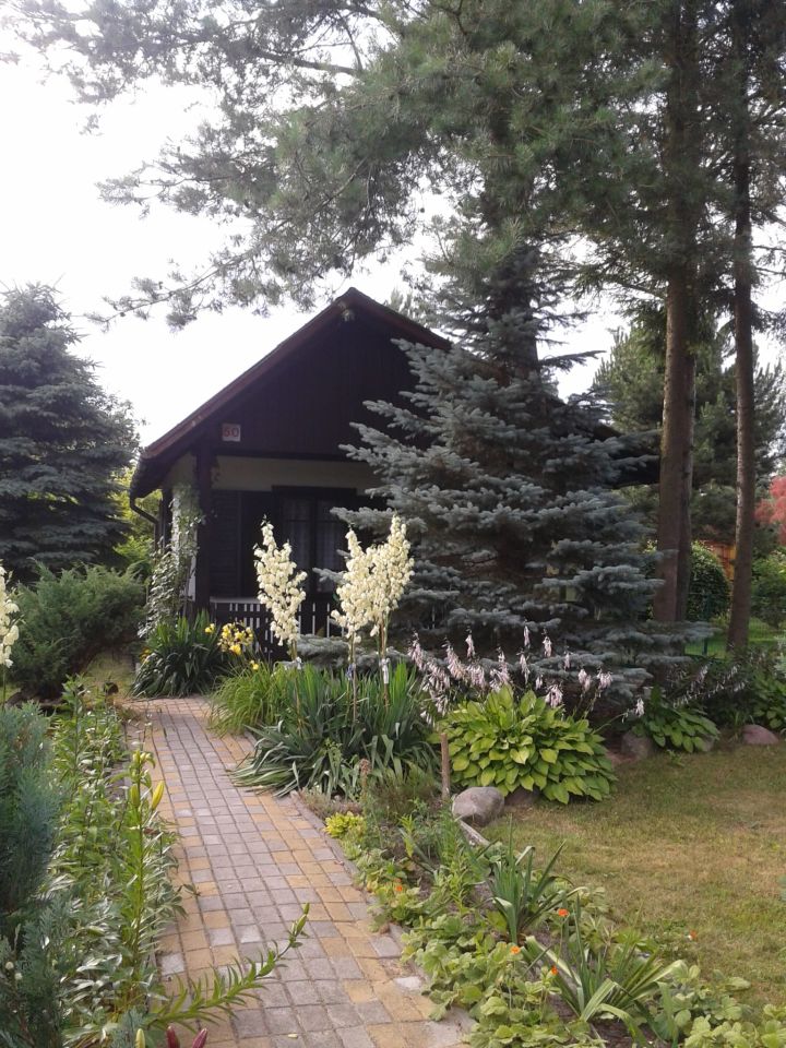 Działka rod Wola Mrokowska, ul. Ogrodowa. Zdjęcie 2