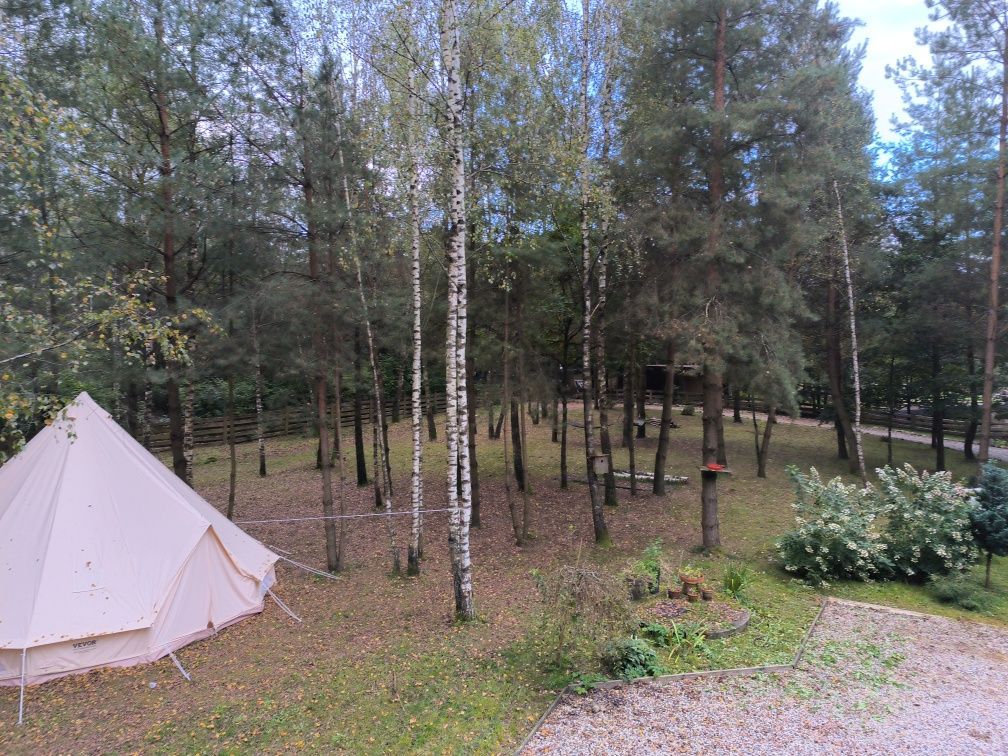 Działka rolno-budowlana Strzałkowo. Zdjęcie 8