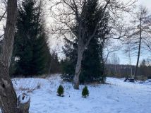 Działka budowlana Aleksandrów. Zdjęcie 3