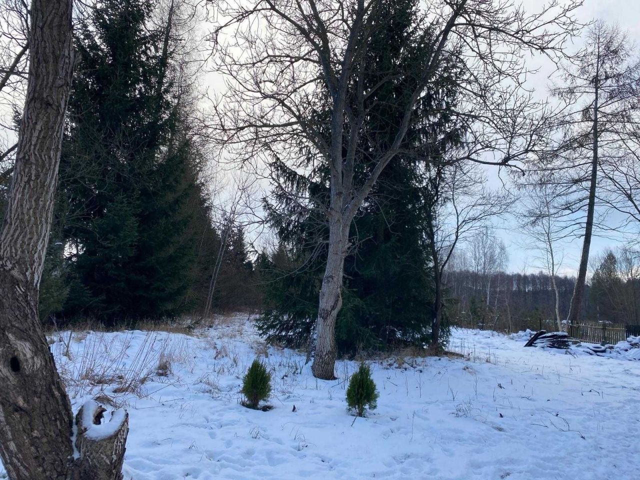 Działka budowlana Aleksandrów. Zdjęcie 4