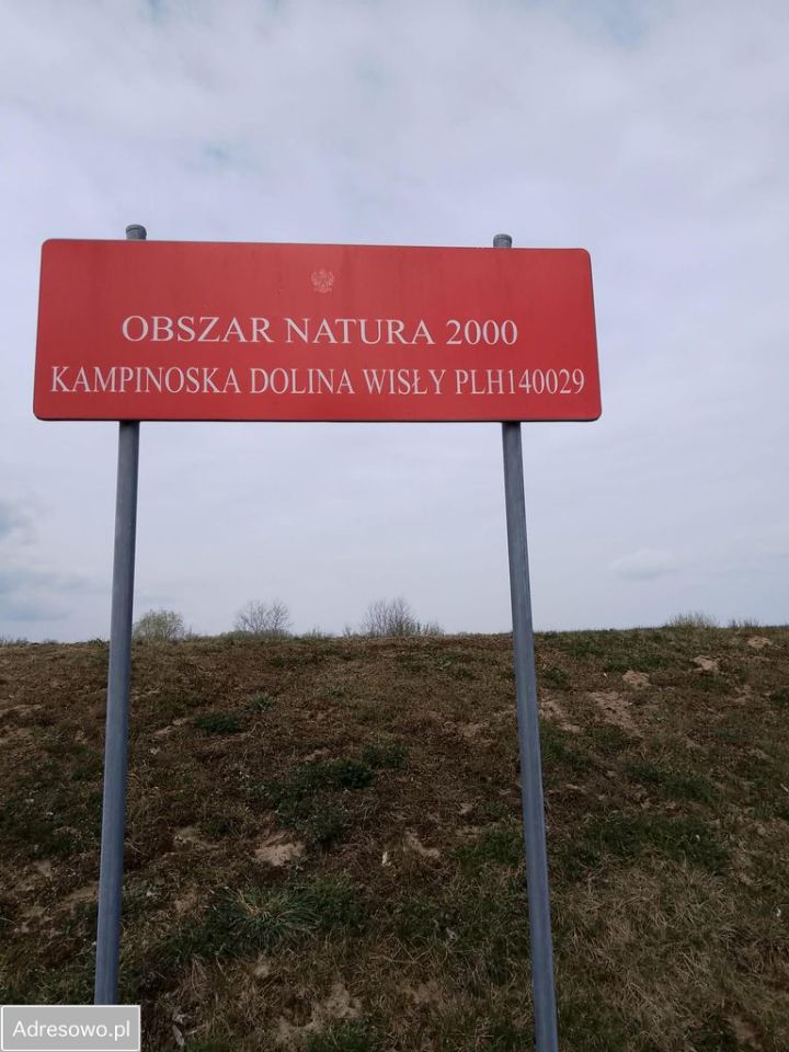 Działka budowlana Bielino, ul. Nadrzeczna. Zdjęcie 4