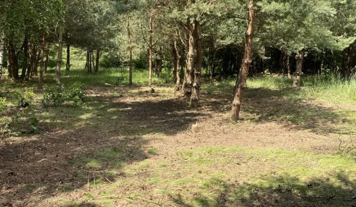 Działka Księża Wólka