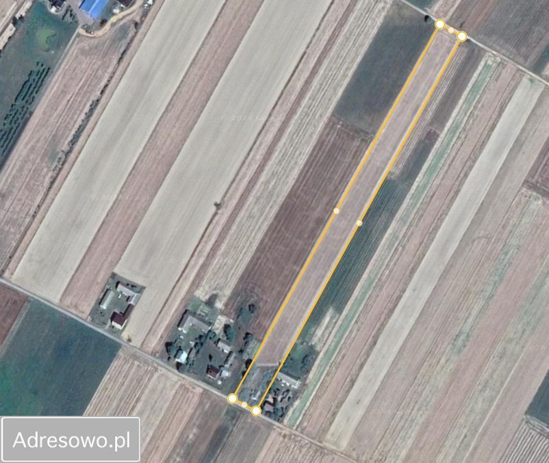 siedlisko Tchórzew-Kolonia. Zdjęcie 12