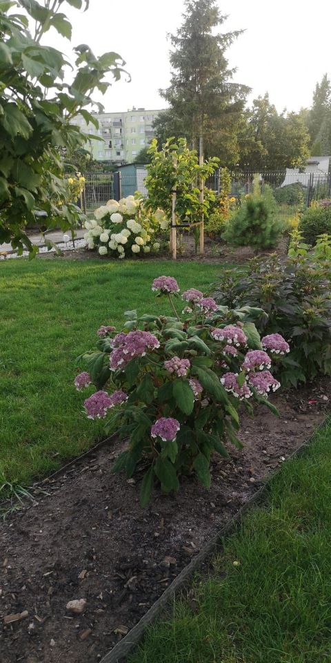 Działka rekreacyjna Wawrów. Zdjęcie 11