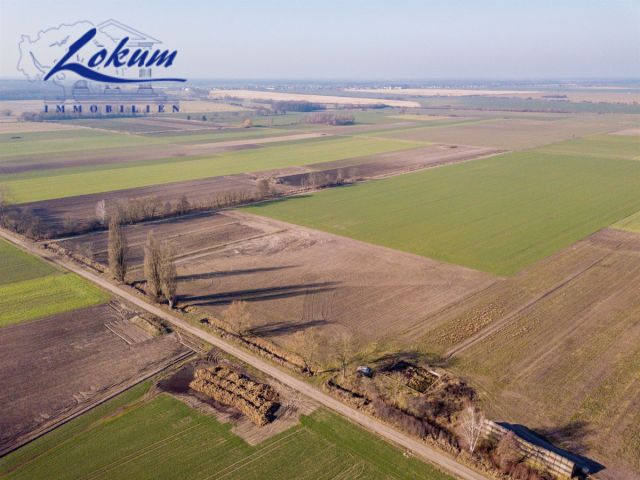 Działka siedliskowa Przybyszewo. Zdjęcie 7