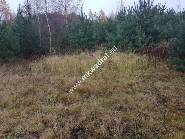 Działka budowlana Ojrzanów. Zdjęcie 5