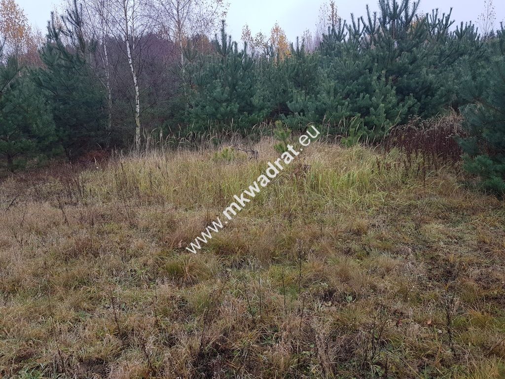 Działka budowlana Ojrzanów. Zdjęcie 5