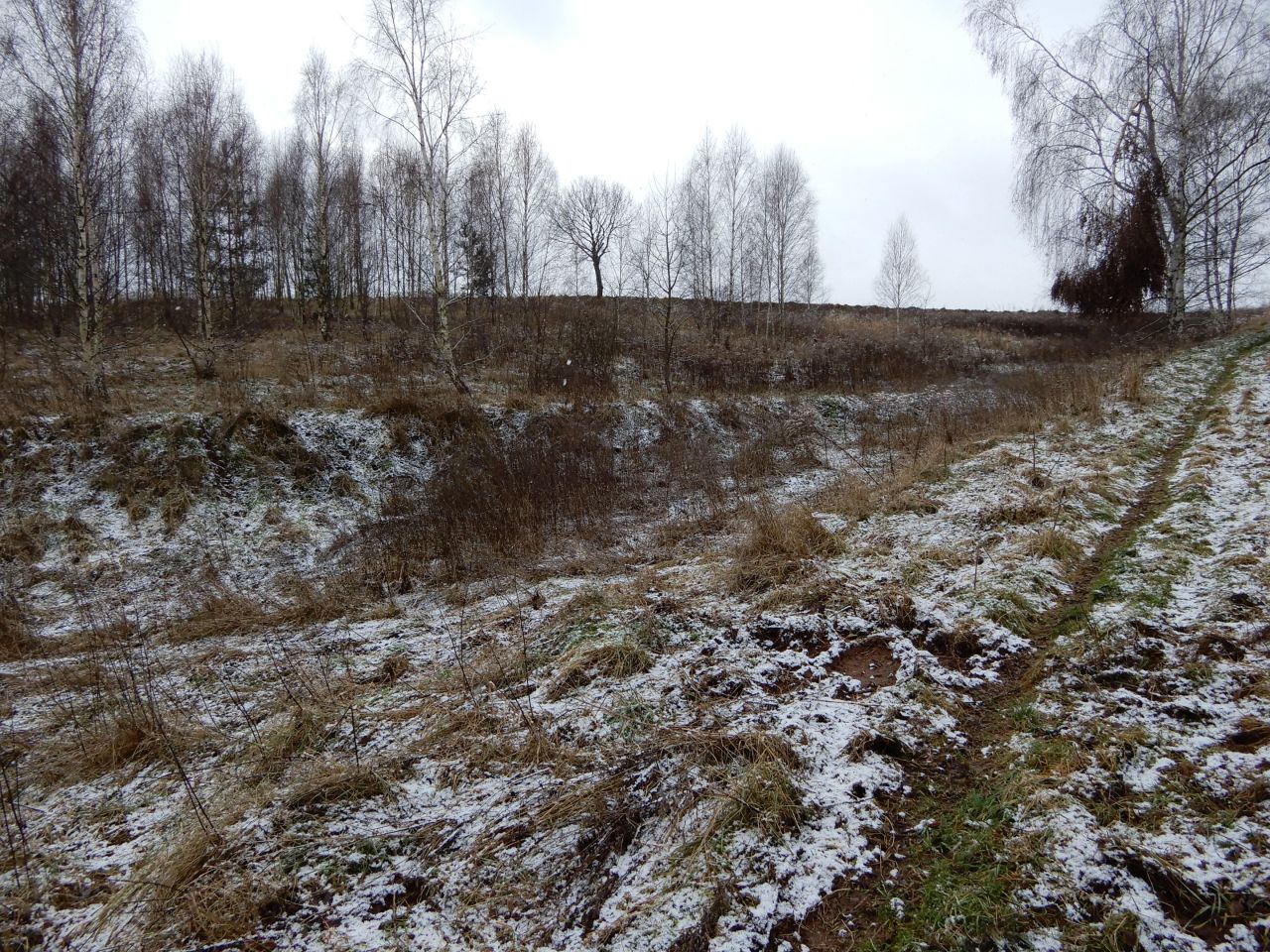 Działka rolna Pławna Dolna. Zdjęcie 8