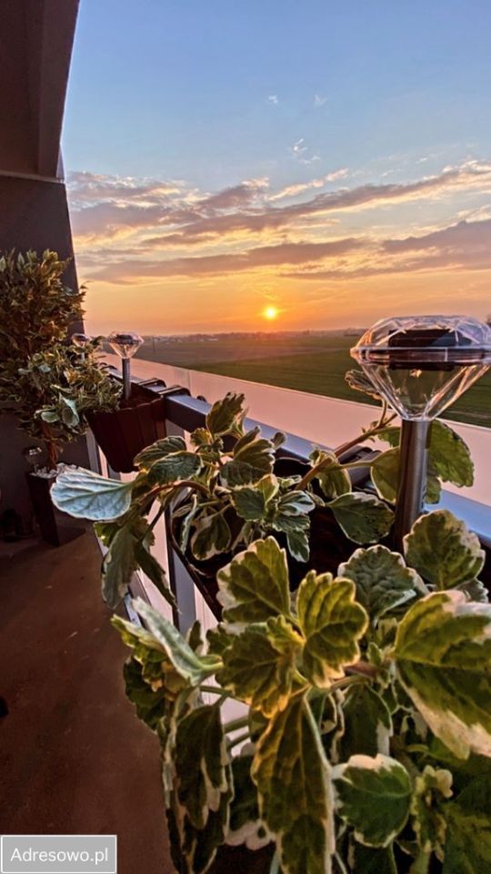 Mieszkanie 3-pokojowe Gostyń, ul. Wichrowa. Zdjęcie 2